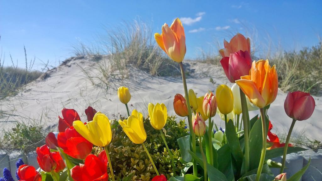 Ostsee Ferienappartements Dierhagen-Strand Klein & Fein Esterno foto